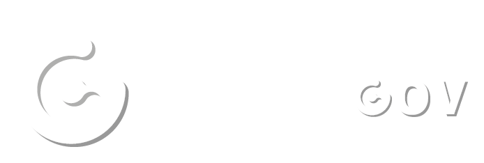 digitalGOV